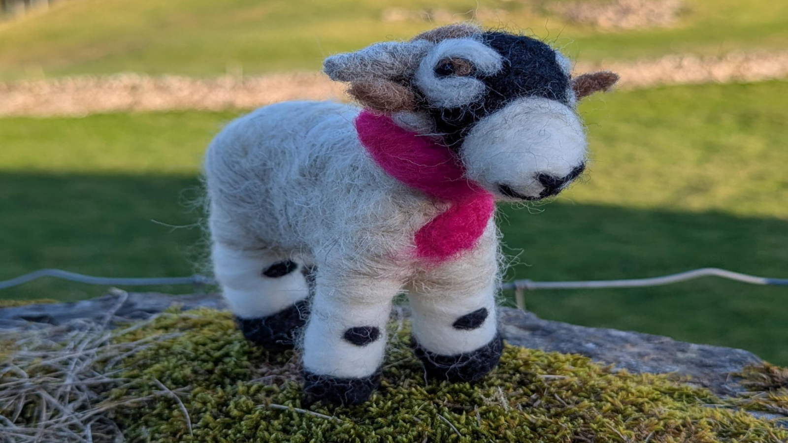 Needle Felting Sheep Workshop