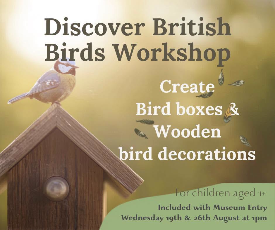 Discover British Birds Workshop