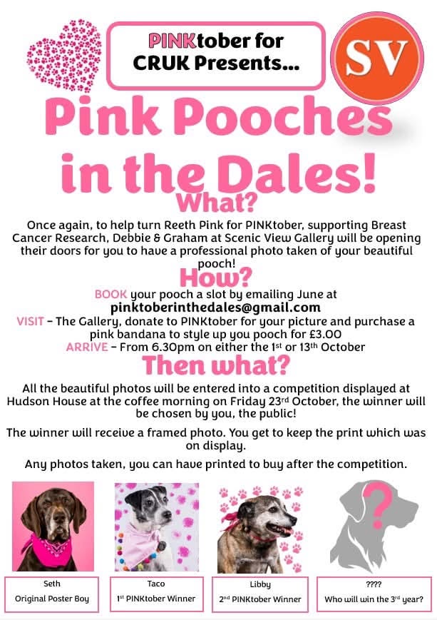 Pink Pooches in the Dales!