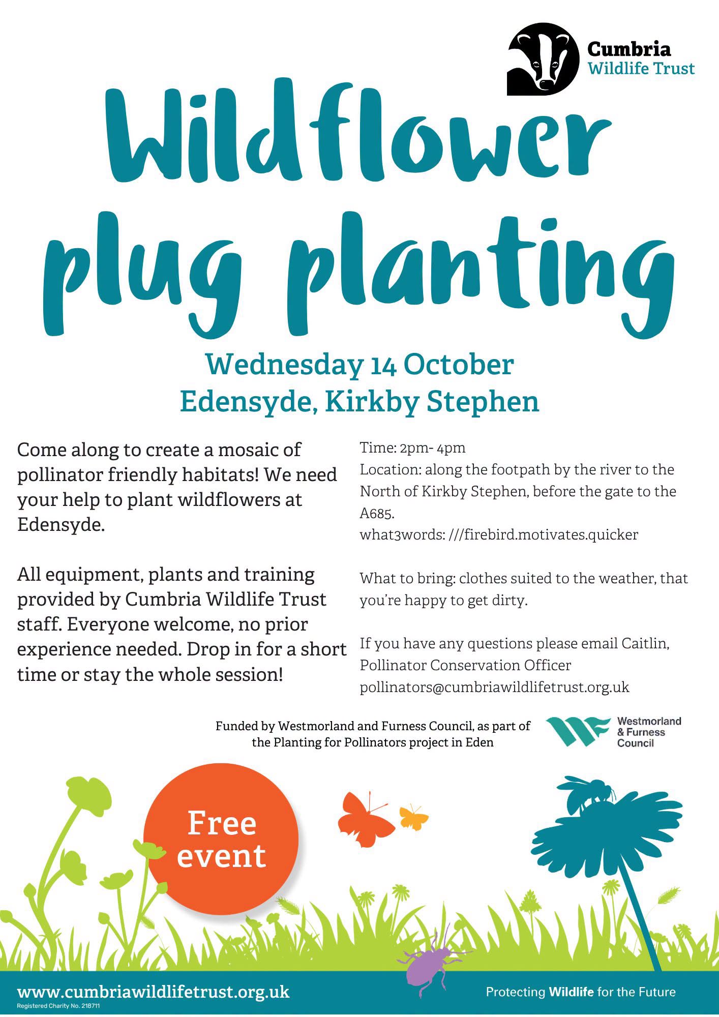 Wildflower Plug Planting