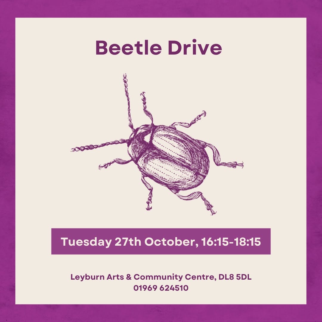 Beetle Drive