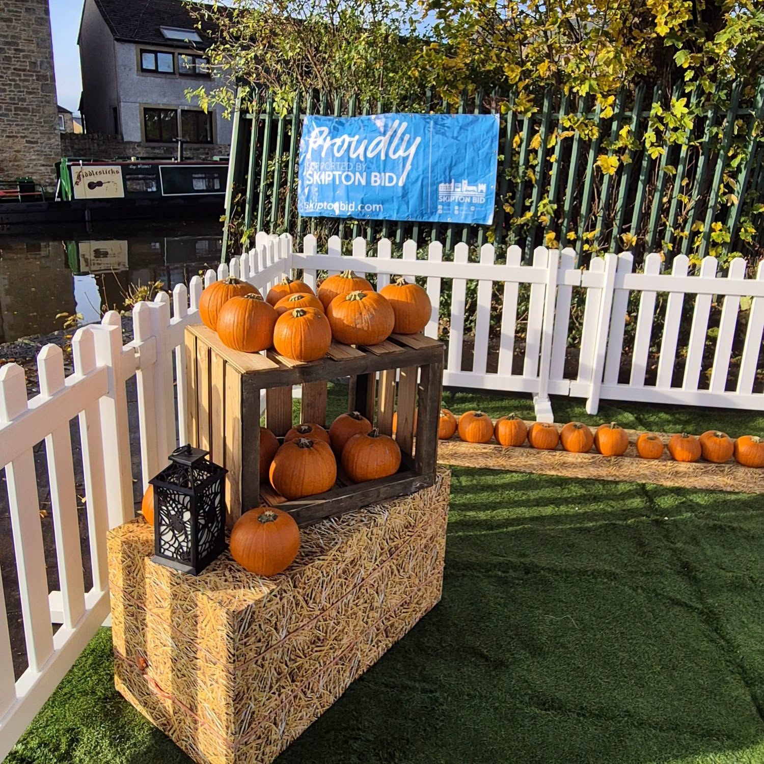 Pop-Up Pumpkin Patch