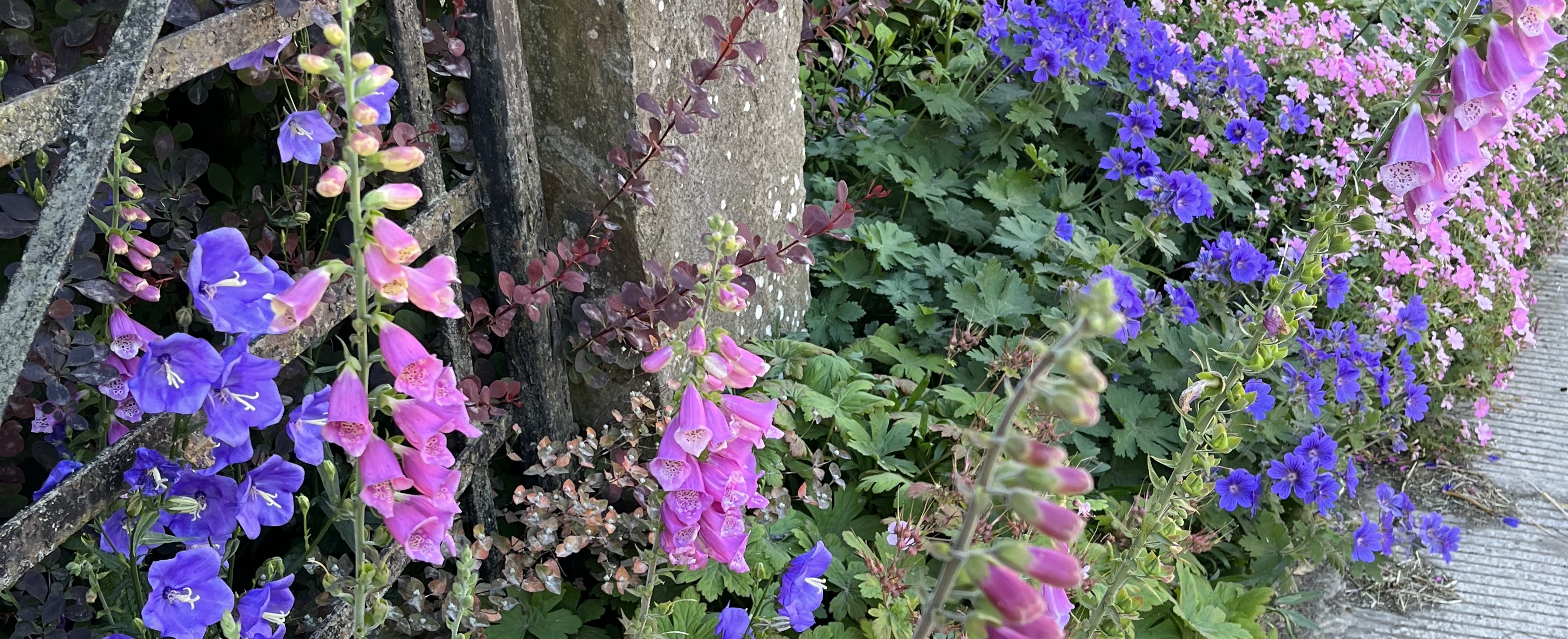 Carperby Open Gardens