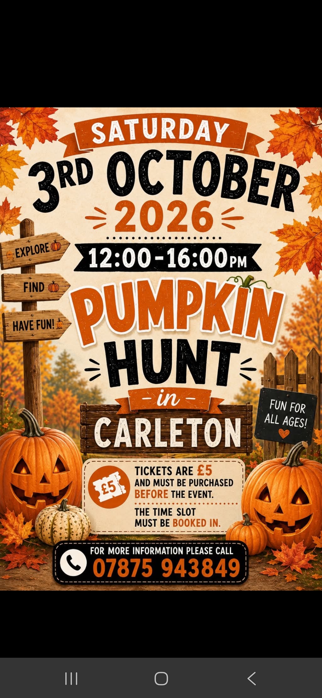 Pumpkin Hunt in Carleton