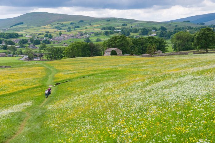 Hawes "Virtual Health Pod" Upgrade