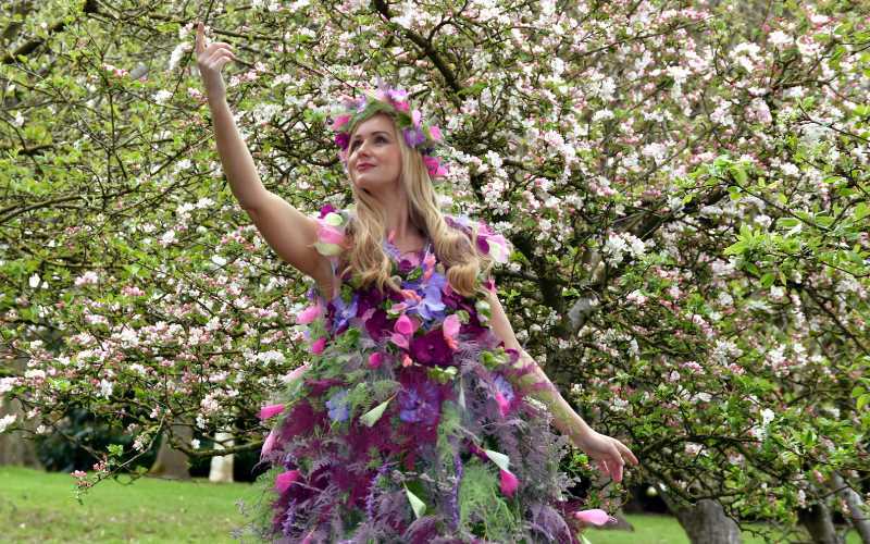 Harrogate Spring Flower Show Opens Today
