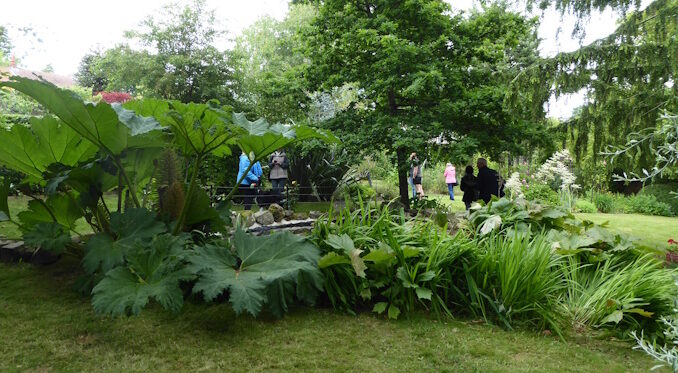 Richmond Garden Fundraiser Launched to Back MayFest and Local Charities