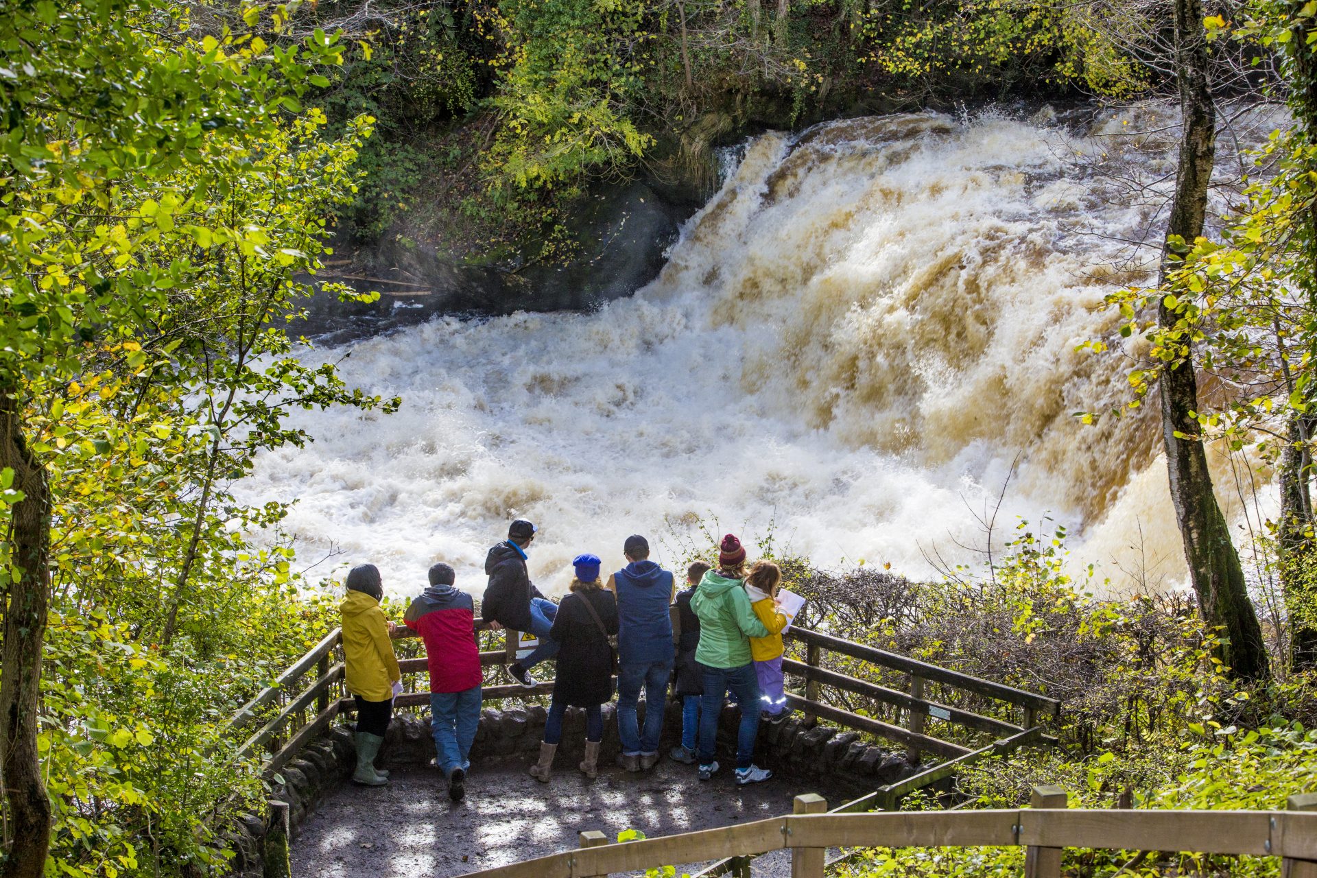 Environmental Fears Raised Over River Ure Pollution Levels at Aysgarth Falls