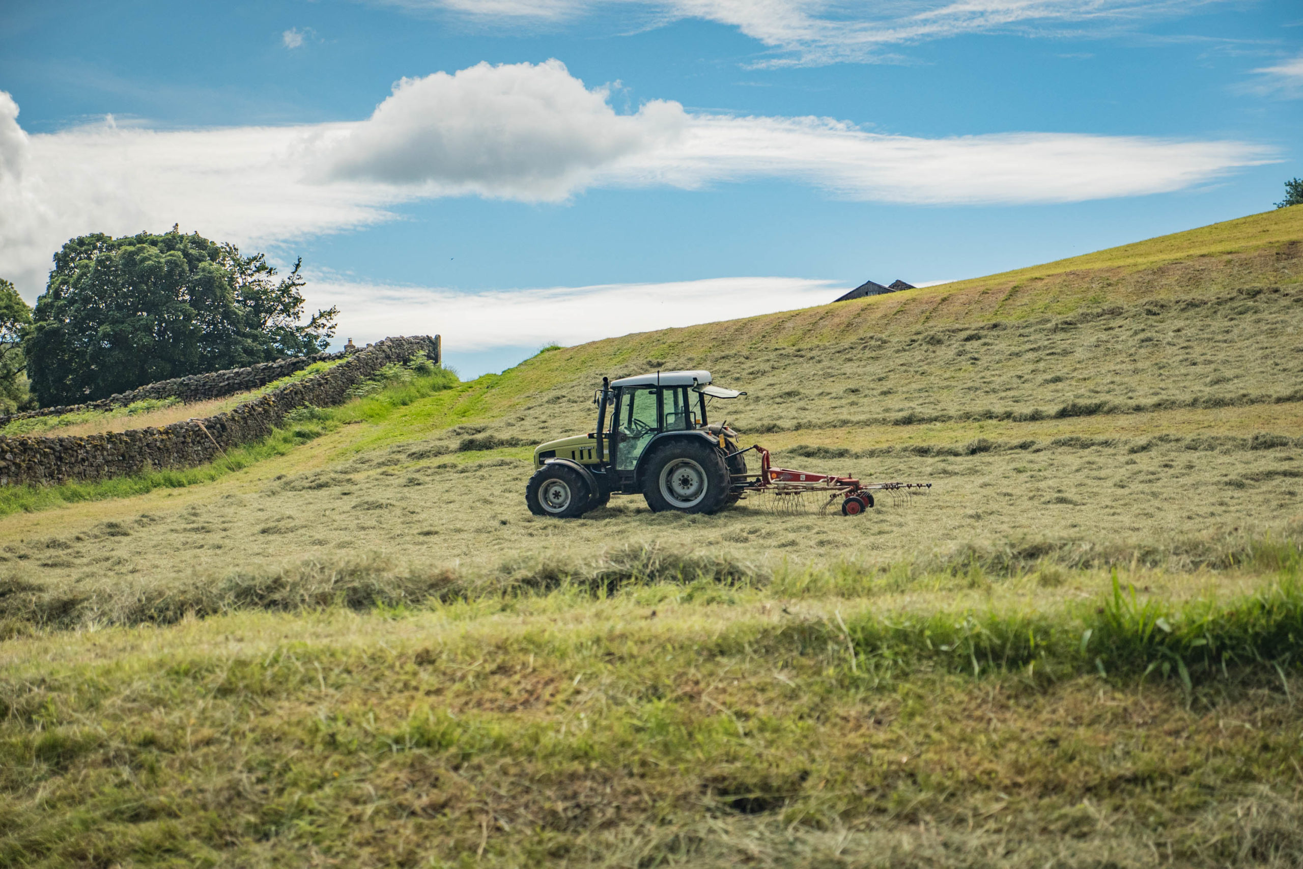 Council Leader Warns Larger Regional Police Forces Risk Stripping Resources from Dales Farmers