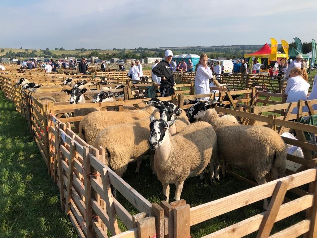 Wensleydale Agricultural Show Committee Finalizes 2026 Event Layout