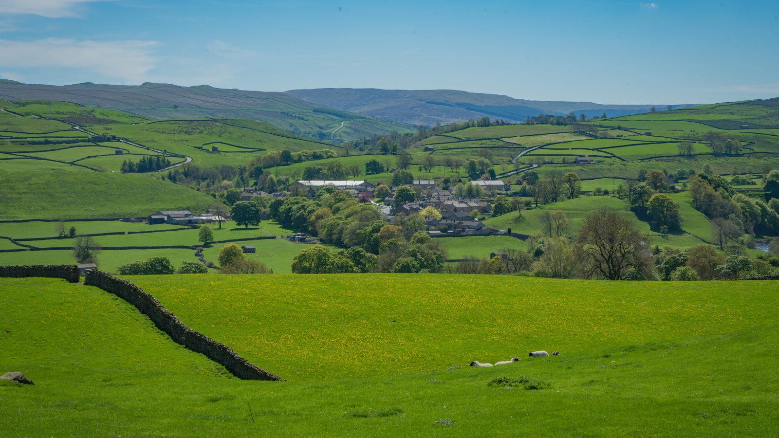 Upper Wensleydale Farmers Co-op Launches Sustainable Grazing Network