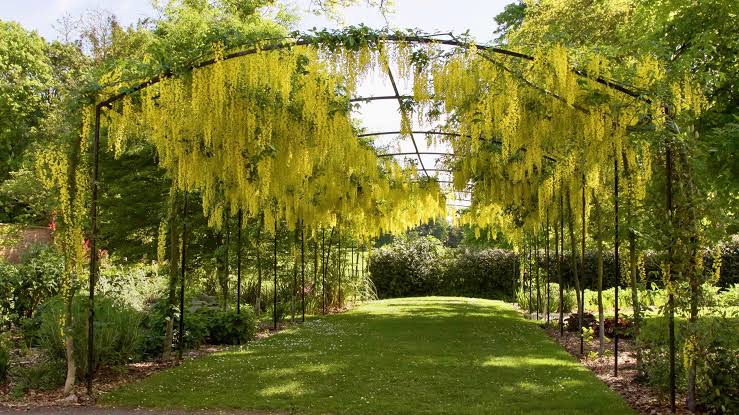 Kiplin Hall Opens Autumn Walled Garden Harvest Exhibition